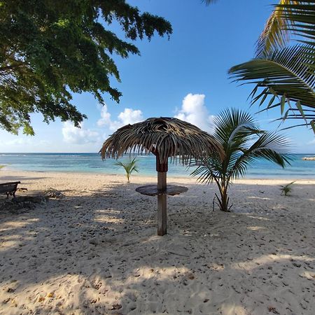 Studio Kawane Anse Des Rochers 303 Rdc, Cote Mer سانت فرانسوا المظهر الخارجي الصورة