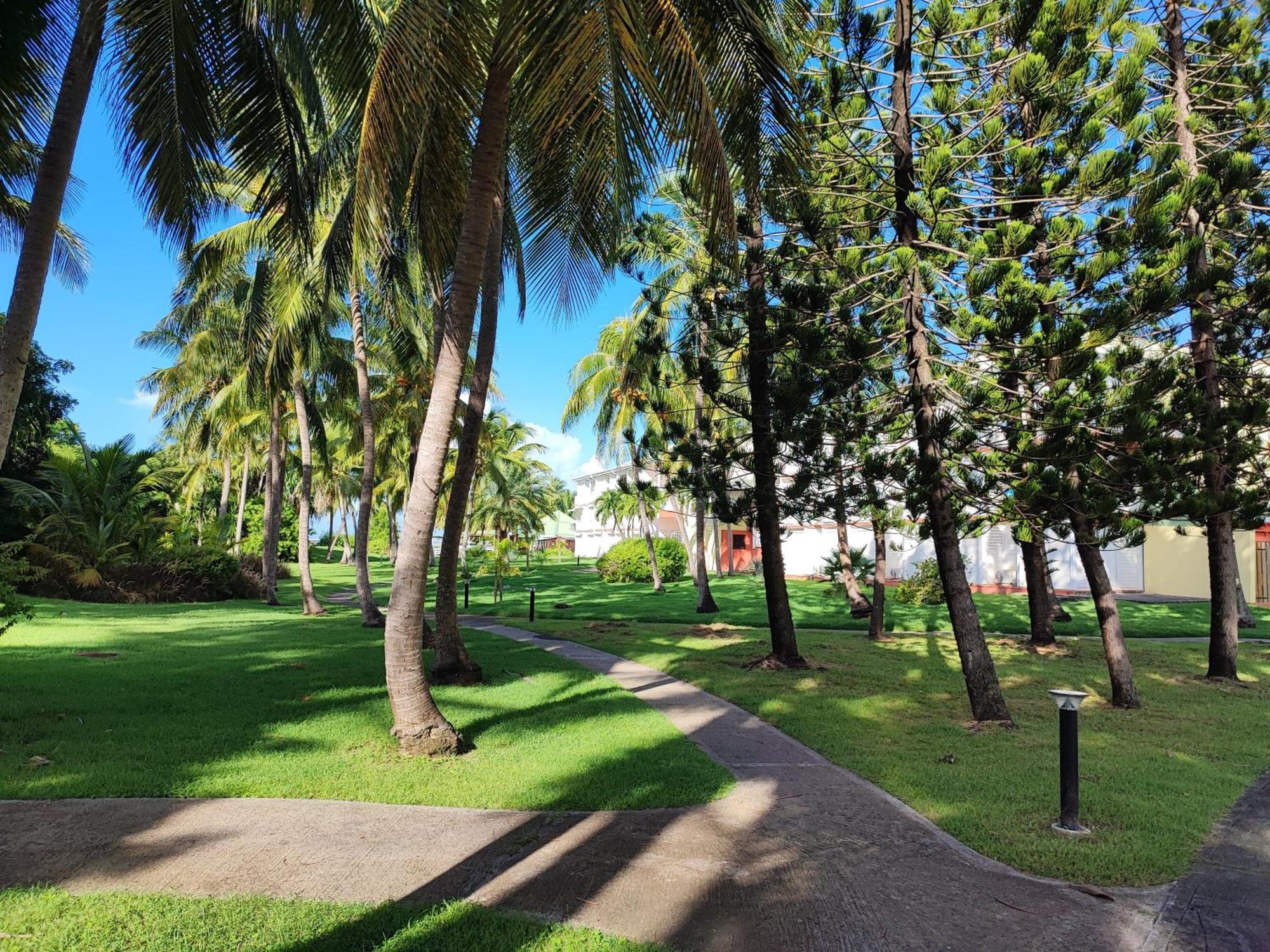 Studio Kawane Anse Des Rochers 303 Rdc, Cote Mer سانت فرانسوا المظهر الخارجي الصورة