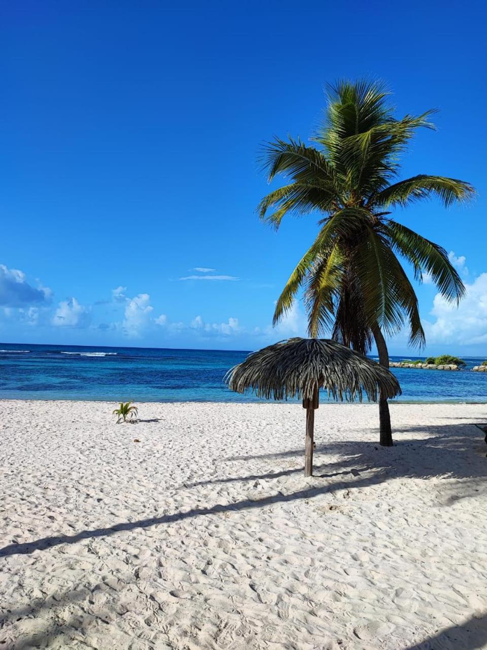 Studio Kawane Anse Des Rochers 303 Rdc, Cote Mer سانت فرانسوا المظهر الخارجي الصورة